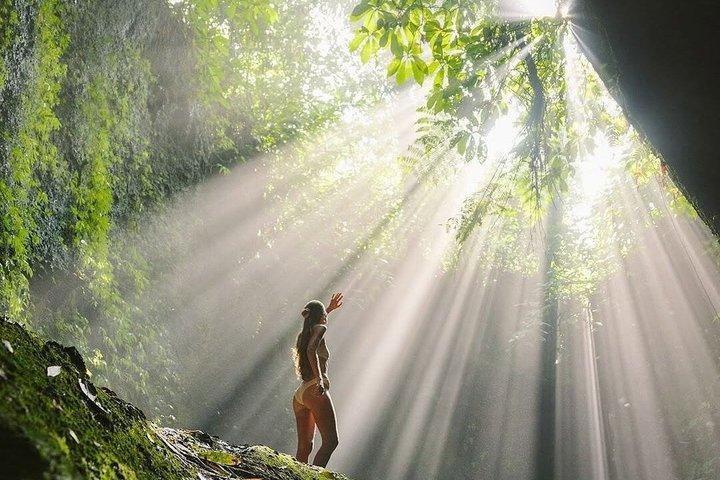 Best of Ubud Waterfalls, Tegalalang Rice Terrace & Jungle Swing