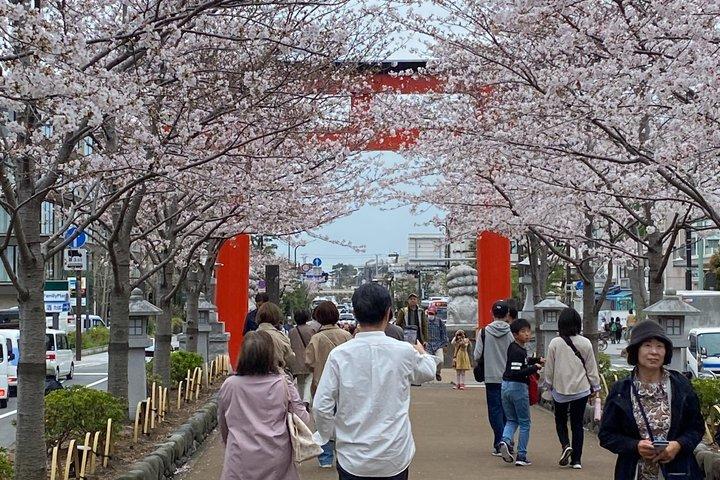 Essence of Kamakura From the samurai temples to the sea