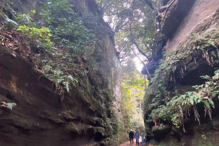Essence of Kamakura From the samurai temples to the sea