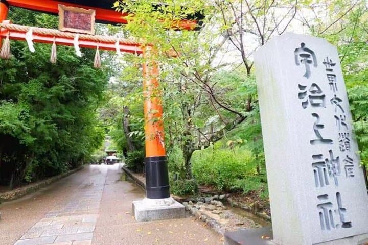 Uji Matcha and Hidden Flower Temples Private Tour from Osaka
