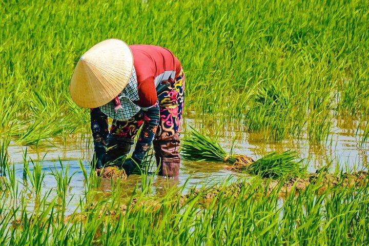 12-Day Vietnam Highlights Travel from Hanoi