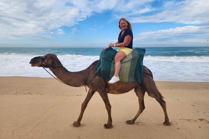 Tangier Private Luxury Tour with Camel Ride - 4-Hour Experience