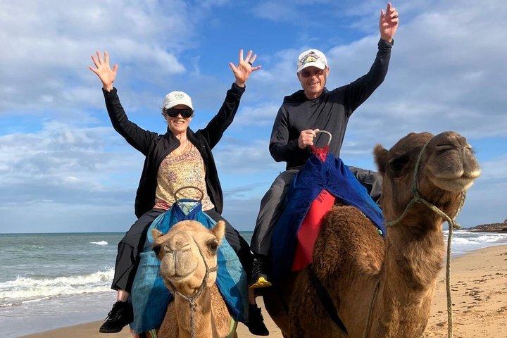 Tangier Private Luxury Tour with Camel Ride - 4-Hour Experience