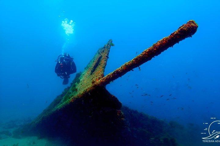 Diving on Terceira Azores Island