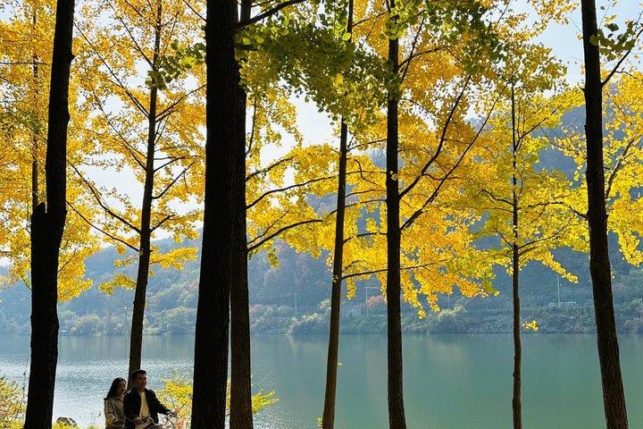 Easy private tour to Nami Island, Garden of Morning Calm