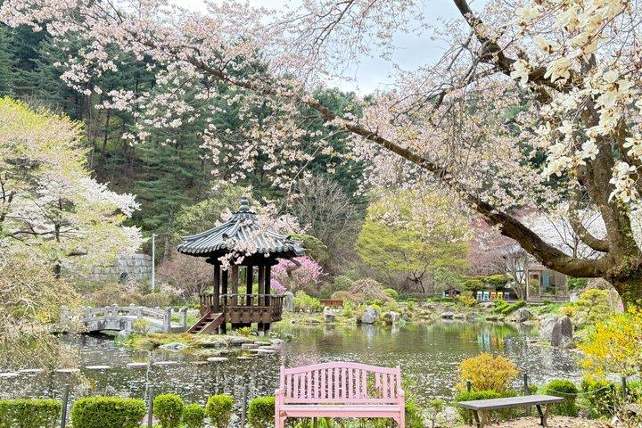 Easy private tour to Nami Island, Garden of Morning Calm
