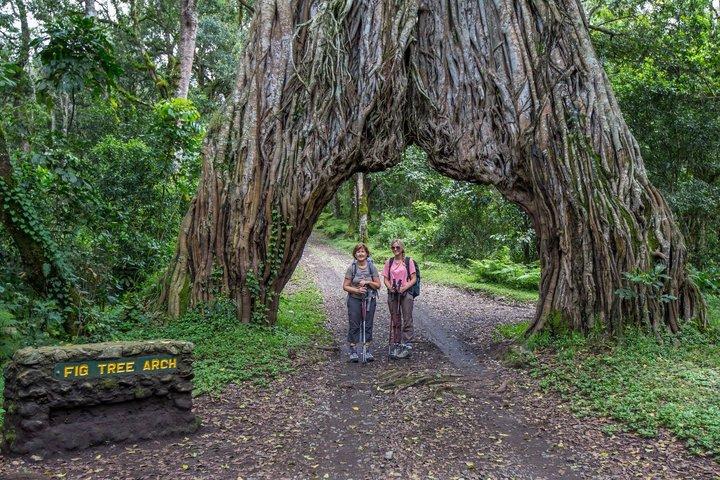 Arusha National Park Full-Day Safari