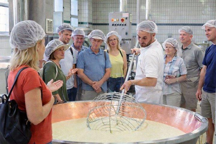Guided tour of the cheese factory and tasting of Parmigiano Reggiano