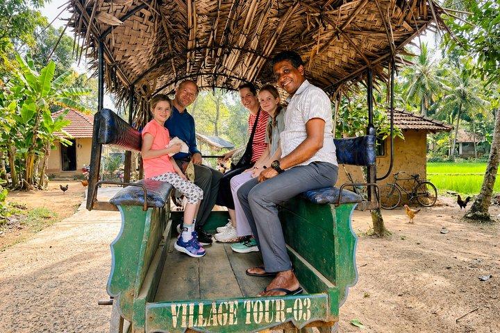 Private Day Tour Sigiriya and Dambulla From BAI