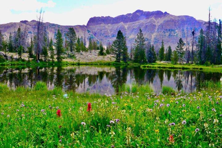 Mirror Lake & Uinta Mountains Half-Day Tour from Park City