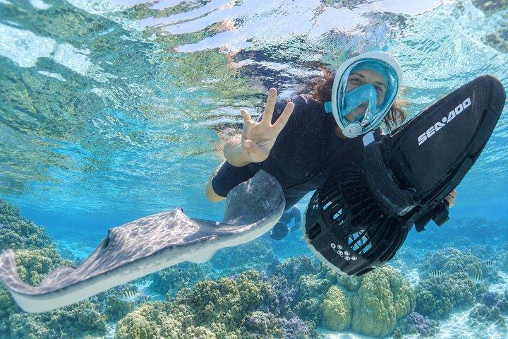 Sea Scooter Jet Snorkeling : Swim with Turtles, Rays & Sharks
