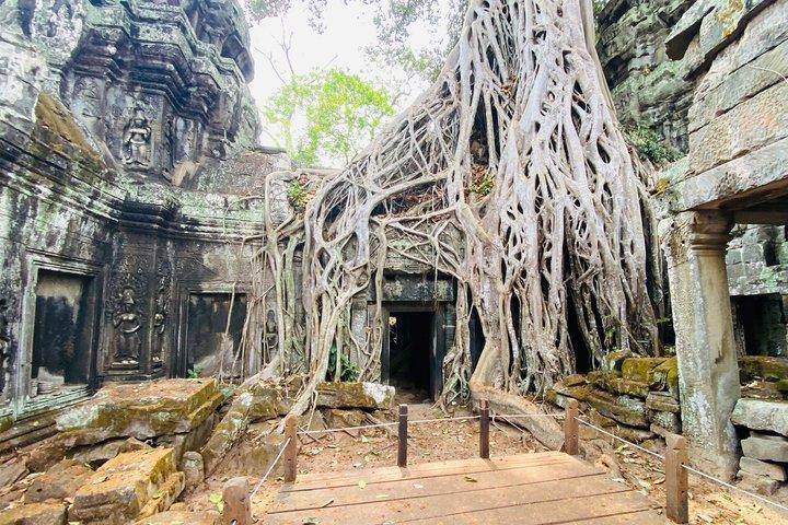 Angkor Wat Sunrise Tour with Bayon & Ta Prohm