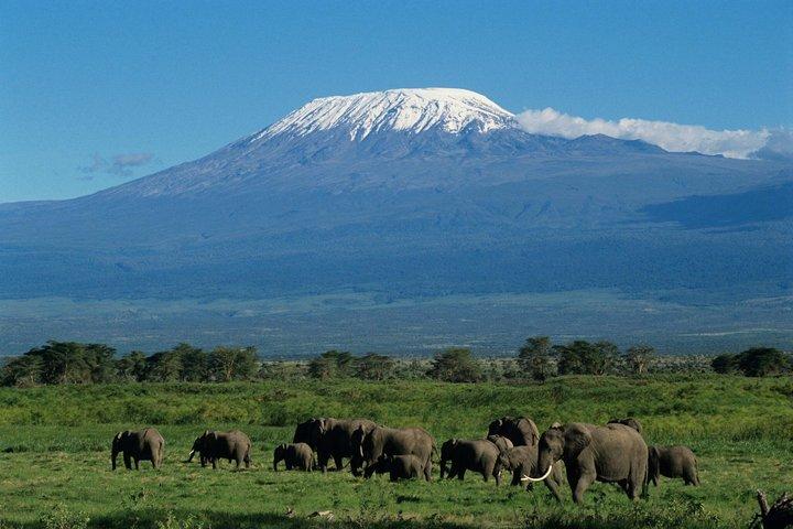 Amboseli Overnight Safari Elephants, Kilimanjaro Maasai Village