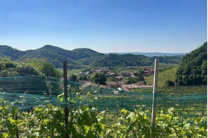 Experience Prosecco Hills with Wine and Food from Venice