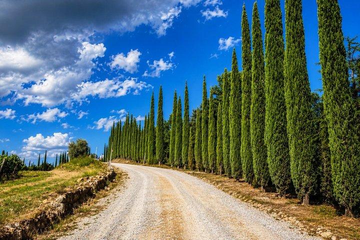Siena and its hills ebike tour virtual guided