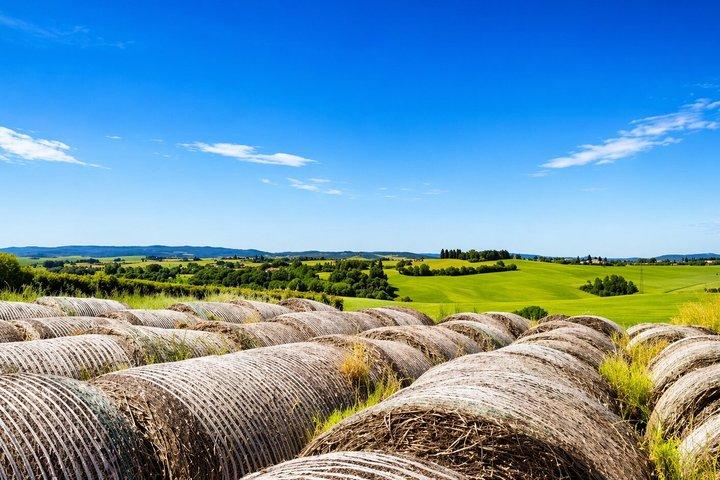 Siena and its hills ebike tour virtual guided