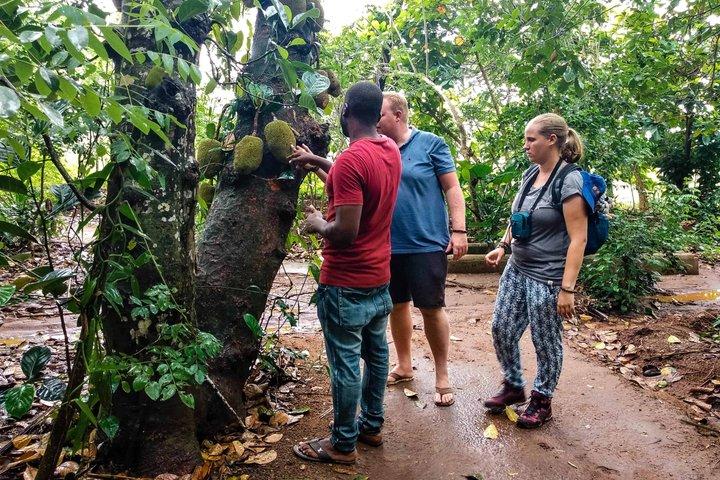 Zanzibar Spice Tour and Cooking Class