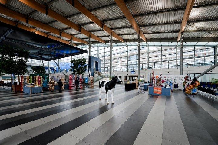 Amsterdam Hotel to Amsterdam Cruise Terminal Private Transfer