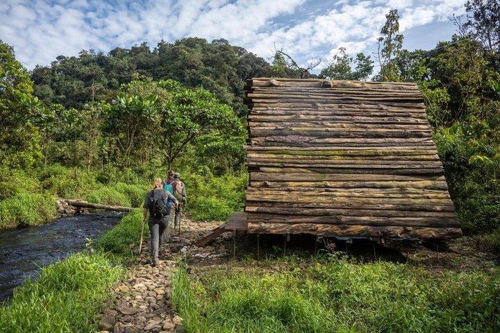 1-day Nyungwe N.P Adventure : Canopy Walk and Zipline Included