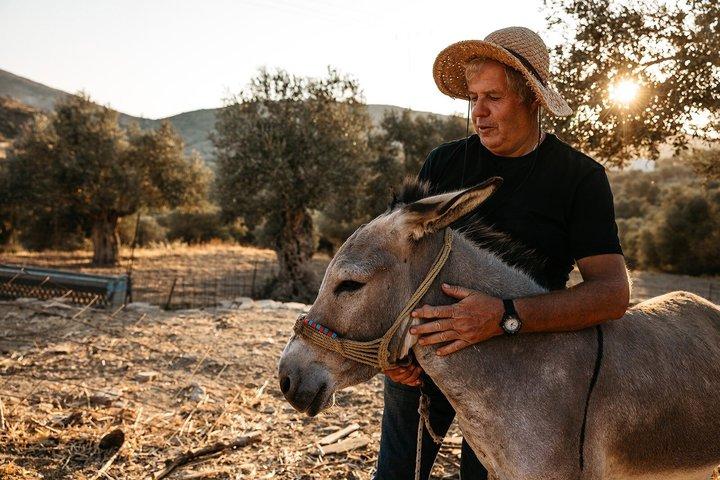 Naxos:Half-day cooking class at Basiliko Farm