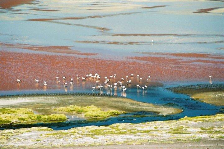 Uyuni Salt Flats 3-day tour, ending in San Pedro de Atacama