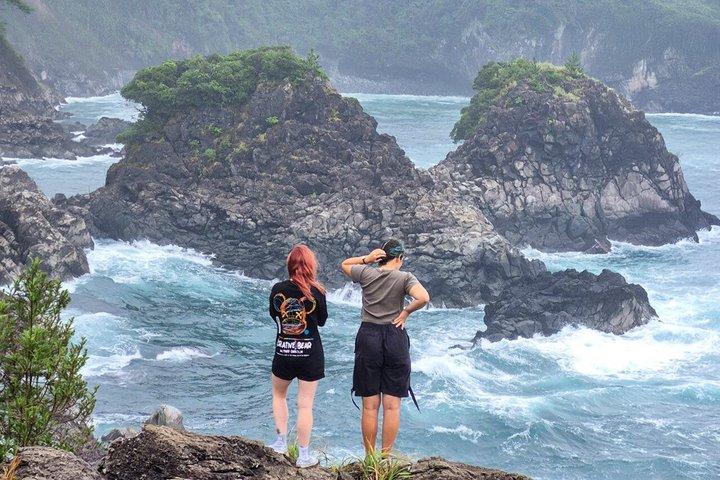 Jeju Island South Unesco Mt Halla One day Bus Tour