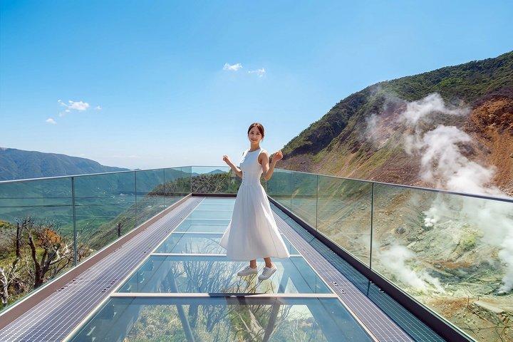 One Day Hakone and Mount Fuji Area Tour from Tokyo