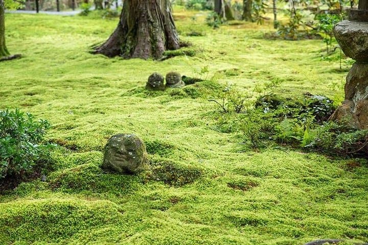 Kyoto Temples and Nature Private Tour from Osaka