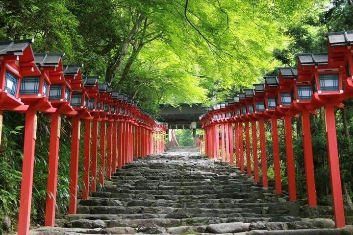 Kyoto Temples and Nature Private Tour from Osaka