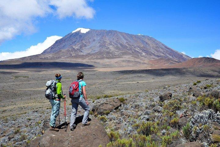 Mount Kilimanjaro Private Day Hike Experience from Moshi