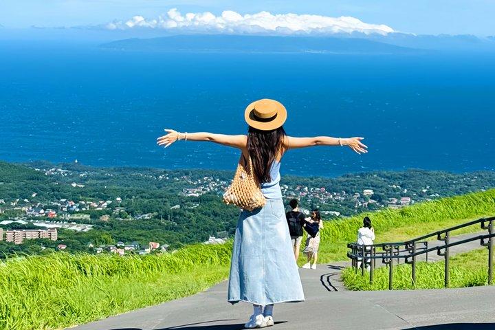 Izu Small Group: Ocean-View Train, Mt. Omuro & Coast