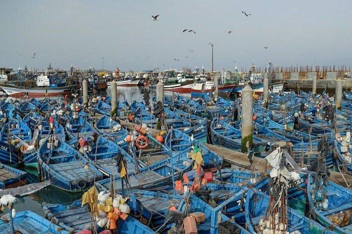 Essaouira Full-Day Sightseeing Tour from Marrakech