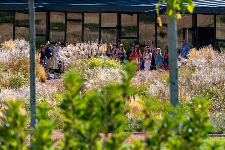 Ribera del Duero Wineries Guided Tour & Wine Tasting from Madrid