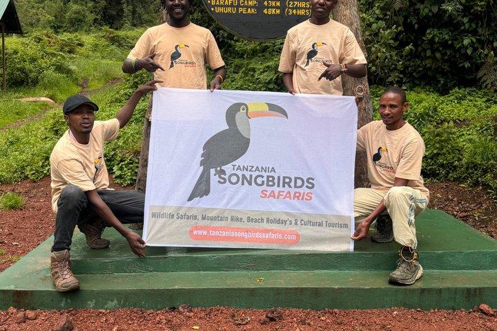 Kilimanjaro Climb via Lemosho Route for 7 Day (All Inclusive)