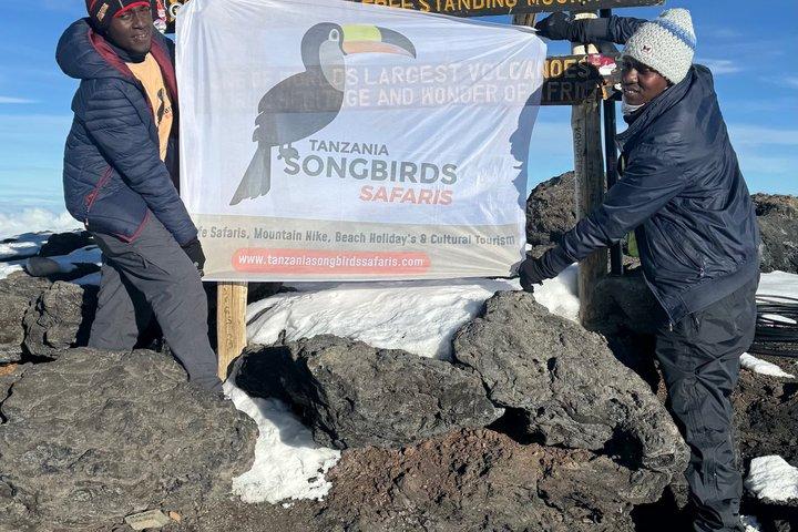 7 Day Kilimanjaro Climb Via Machame Route Whiskey Route