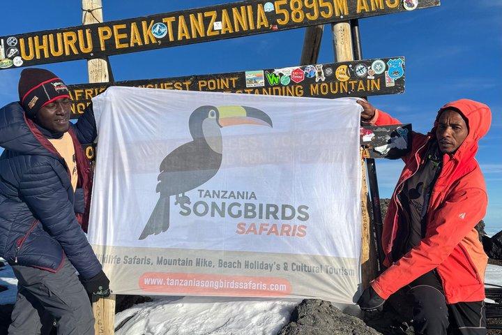 7 Day Kilimanjaro Climb Via Machame Route Whiskey Route