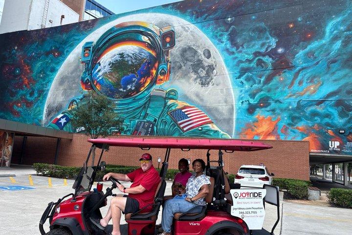 Private Sightseeing Cart Tour of Houston