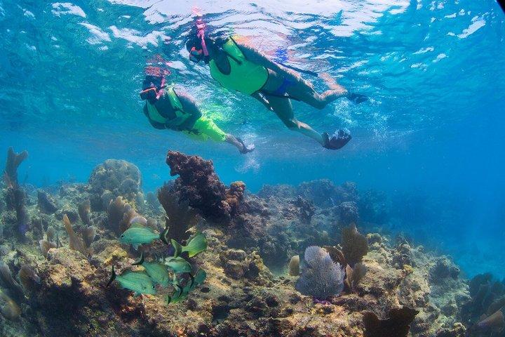 Key West Rum and Reggae: Reef Snorkel Adventure and Sunset Sail
