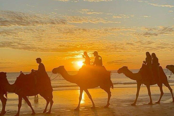 Cabo Sunset Camel Experience with Buffet and Park Entry Included