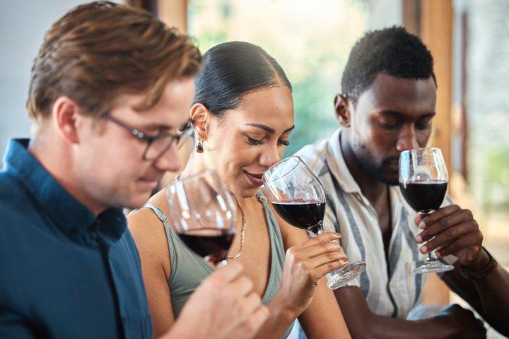 Private Malbec Wine Tasting Experience in Buenos Aires