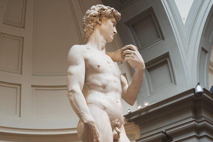 Accademia Gallery Entrance Ticket with Priority Access