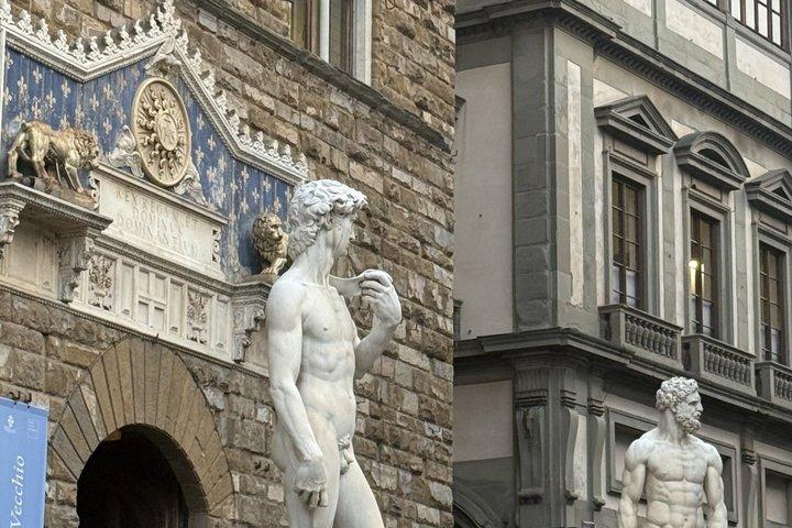 Accademia Gallery Entrance Ticket with Priority Access