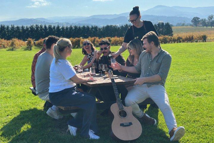 Yarra Valley Wine Tour w Exclusive Gin, Cider & Chocolate Tasting