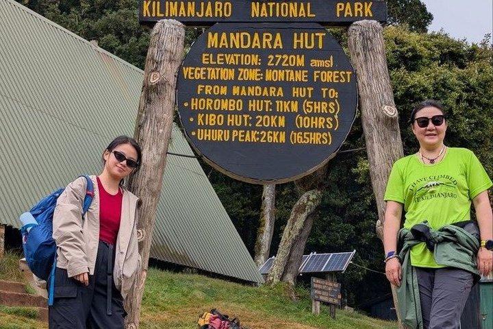 Kilimanjaro 1 Day Hike With Experienced Guide