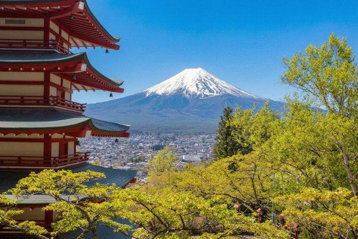 Tokyo: Mount Fuji One Day Trip Lake Kawaguchi & Lake Yamanaka