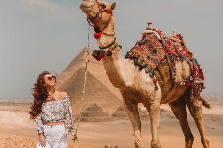 Half Day Tour Giza Pyramids ,Great Sphinx & Private Tour Guide