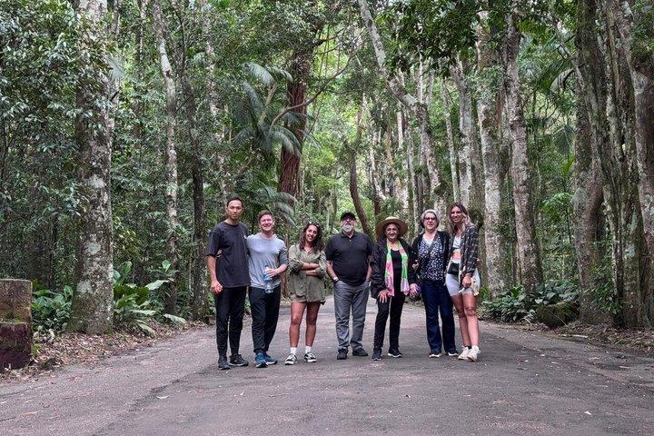 Tijuca Forest: Waterfalls, Cave, and Wildlife