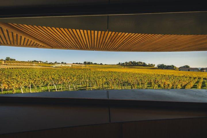 Private Tour in Saint-ÐÉmilion : Wineries GRAND CRU CLASSE