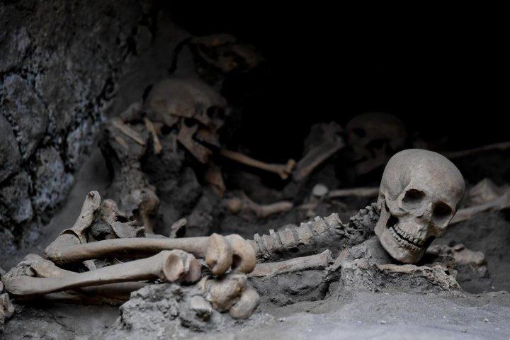 From Naples Herculaneum Skip the Line Guided Tour and Transfer