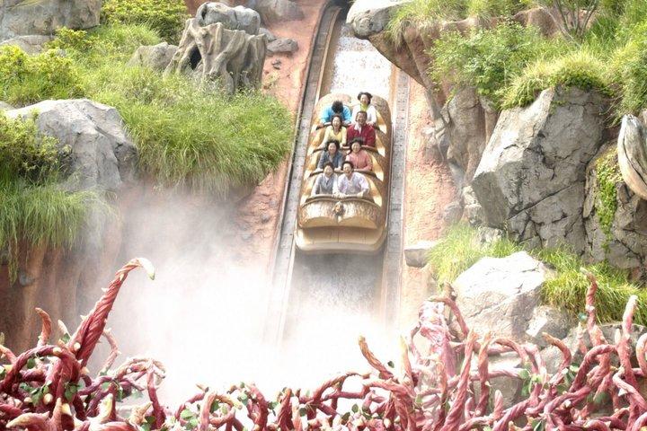 Ticket to Tokyo Disneyland with options